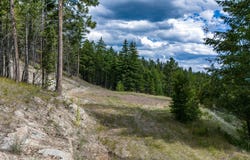 NHN Jackson Meadows Road, Kila, MT 59920