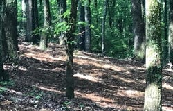 0 Piney Knob Drive, Spring City, TN 37381