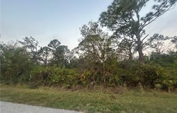 6269 Blackberry, ENGLEWOOD, FL 34224