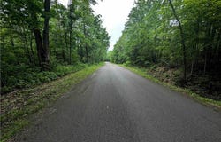 Bell Hill Road, Lindley, NY 14858