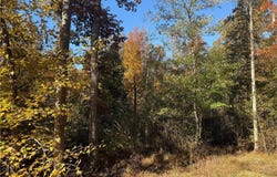 Poole Road, Mayodan, NC 27027