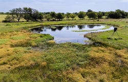 5662 TX-171, Coolidge, TX 76635