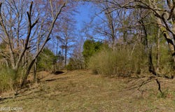 0 Sanders Store Road, Milan, TN 38358
