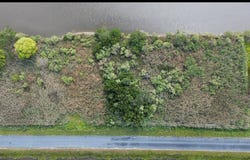 MATTHEWS RD lot: 114, SAXIS, VA 23427