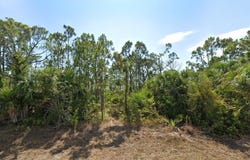 9557 LITTLE ROCK STREET, PORT CHARLOTTE, FL 33981