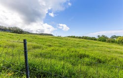 29-613 CHIN CHUCK RD, Hakalau, HI 96710