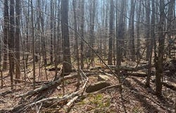 Wheeler Road, Moscow, PA 18444