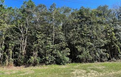 Old Hwy 49, Saucier, MS 39574