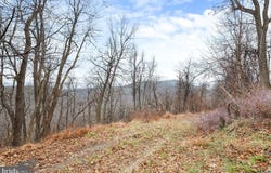 SW SLOPE LANE, STAR TANNERY, VA 22654