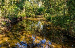 0 SILVER SPRINGS, Evening Shade, AR 72532