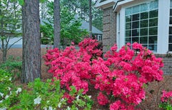 24 Mcnish Road, Southern Pines, NC 28387