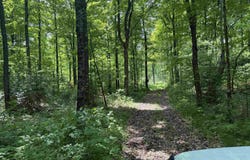 160 Acres Mead Logging, Crystal Falls, MI 49920