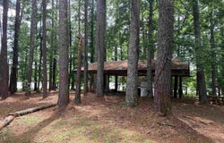 Tract 5 C County Road 941, Cedar Bluff, AL 35959