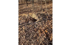 Moonshine Pass, Salem, MO 65560