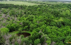 County Road 666, Kosse, TX 76653