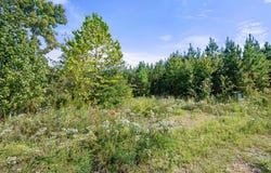 50 S Holland Trail, Broken Bow, OK 74728