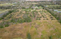 5441 JANES DRIVE, WIMAUMA, FL 33598