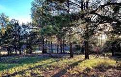 225 Badger Trail, Ridgway, CO 81432