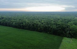 V/L 32nd Ave, Covert, MI 49043
