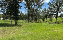 00 Hickory Loop, Thornton, TX 76687