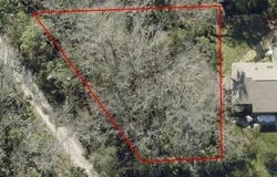 0 Palm Drive, New Smyrna Beach, FL 32168