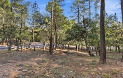 98 Trails End Drive lot: 98, Pine, AZ 85544