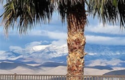 2764 Leys Burnett Avenue, Henderson, NV 89044