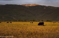 250 E 1750 N, Driggs, ID 83422