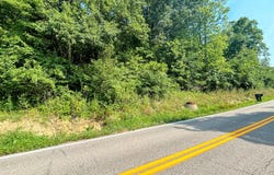 4758 Fowler Creek Road, Covington, KY 41017