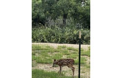 36 Ralls Road, Spur, TX 79370