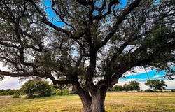 Tbd County Road 96, Purmela, TX 76566