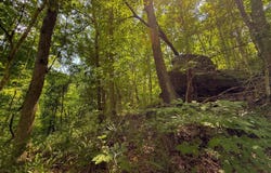 0 Big Creek Rd, Crown City, OH 45623
