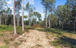 #5 A STREET lot: #5, ONEONTA, AL 35121