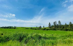 11900 Hays Rd, Spangle, WA 99031