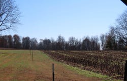 Boyd Rd, Wingo, KY 42088