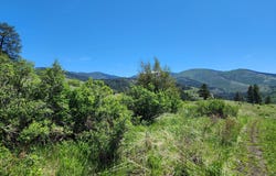 12 DIGNITY RANCH RD, MALO, WA 99150