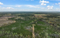 Parcel 1 Stephens Cemetery Rd., Silver Creek, MS 39663