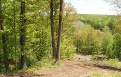 On HWY 169, Mellen, WI 54546