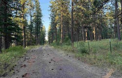 Tbd Harlow Ridge Rd - Cloverland Estates 36, Asotin, WA 99402