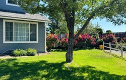 1175 La Cresta Court, Sparks, NV 89436