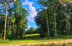 000 Old Gordon Road, Grandview, TN 37337