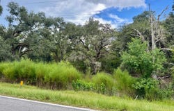 NE DUSTY MILLER AVENUE, Pinetta, FL 32350