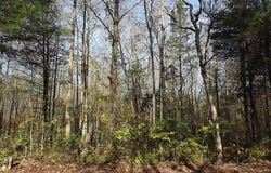 0 YORKETOWN ROAD, ALLOWAY, NJ 08001
