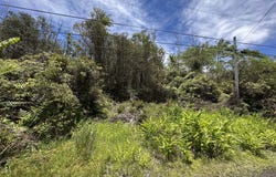OAHU ST, Mountain View, HI 96771