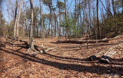8636 Sleepy Hollow Road unit: 12, Connelly Springs, NC 28612