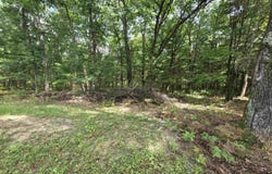 10.33 Acres 47th Street, Mauston, WI 53948