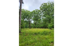 381 Patton School Road, South Pittsburg, TN 37380