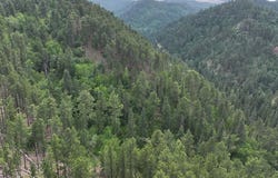 TBD Cutting Mine Road, Lead, SD 57754
