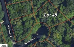 2746 Haushen Lane, Bellaire, MI 49615