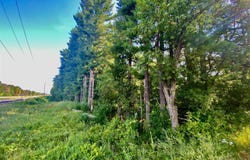 Lot 1 SPRINGVILLE DRIVE, Plover, WI 54467